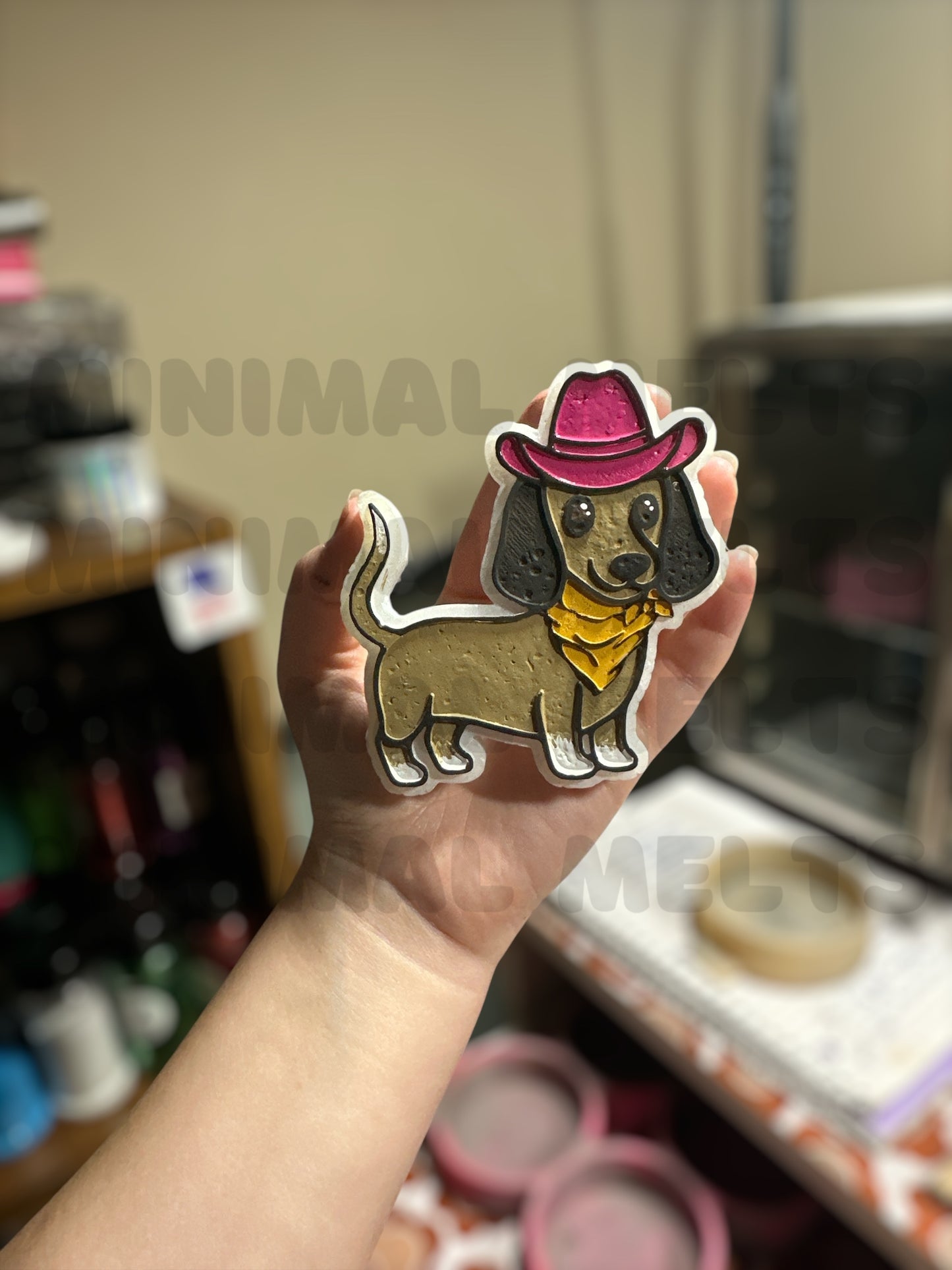 Weenie Dog in a Cowboy Hat